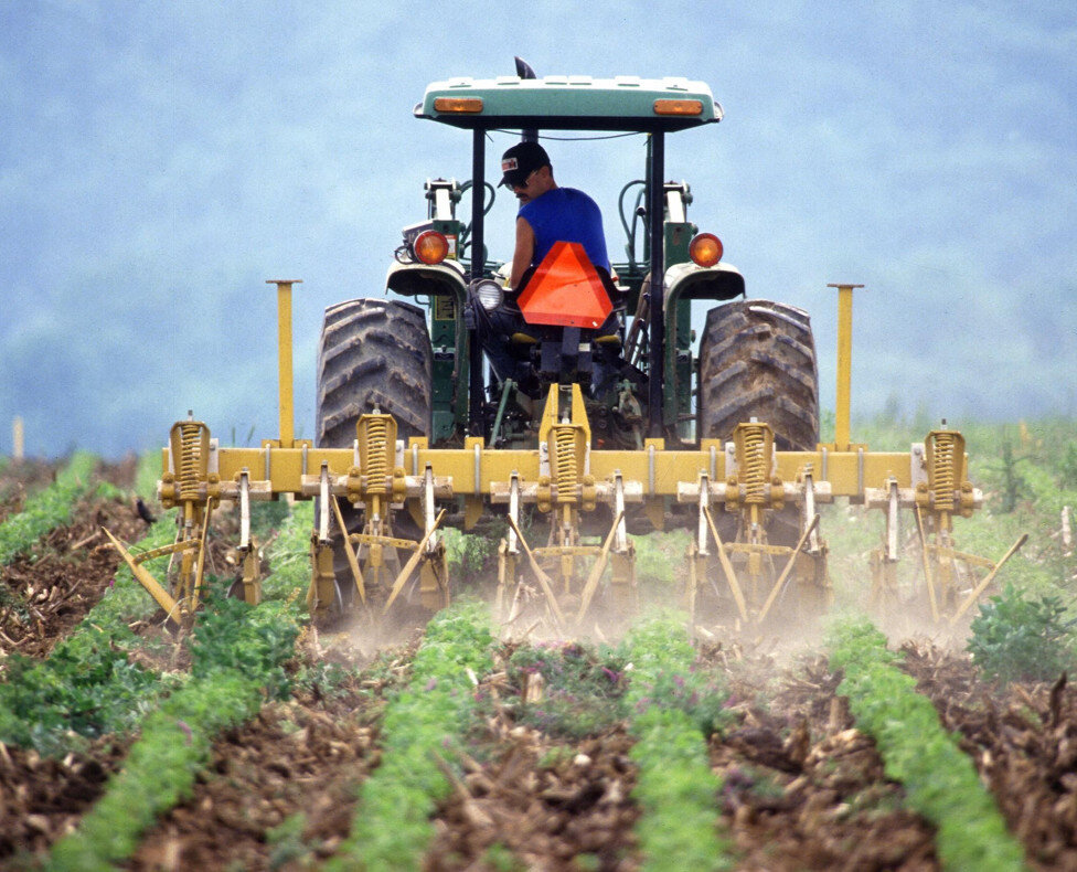 bauernblockaden, traktordemos